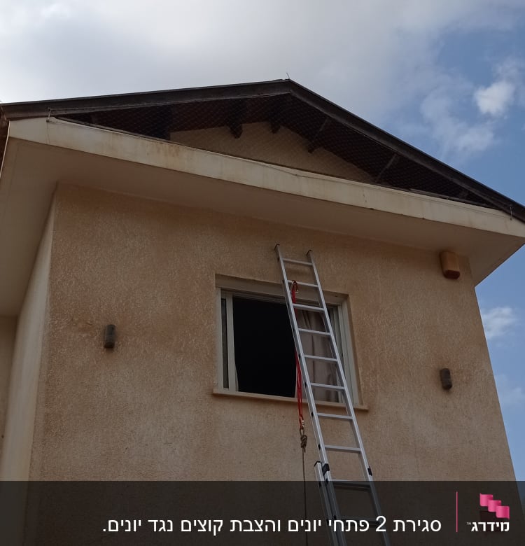 סולם מונח על קיר בית ליד חלון פתוח